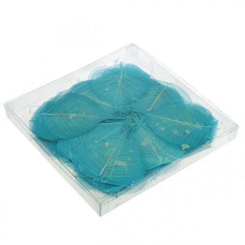 Floristik24 Fűzfa levelek, természetes fűz levelek, szárított levelek csontvázas türkizkék 200 db