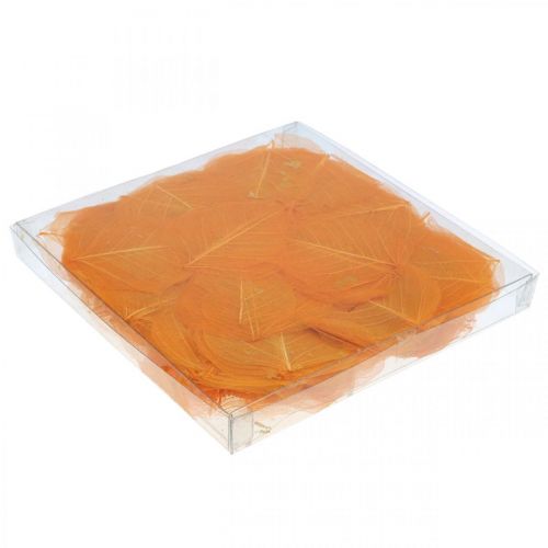 Floristik24 Fűzlevél csontvázas narancssárga száraz díszítés 200 db