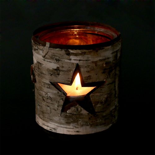 Floristik24 Lámpás csillag nyírfával Ø10,5cm H11cm 1db