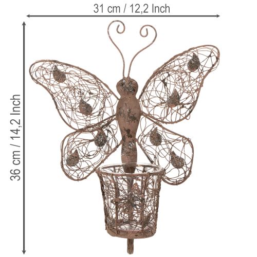 Fém lámpás, fali dekoráció, pillangó, rozsdabarna felület, 36,5 cm | Floristik24.hu