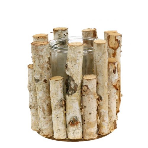 Floristik24 Nyírfa lámpás Ø17cm H17cm