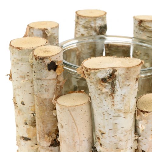 Floristik24 Lámpás nyír Ø17cm H12cm