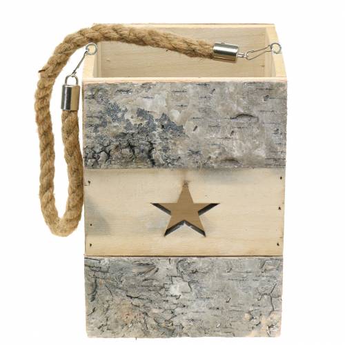 tételeket Nyírfa lámpa fogantyúval 14,5cm x 14,5cm H20cm