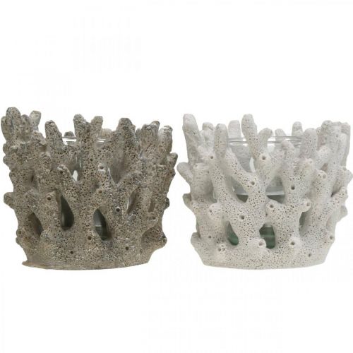 Floristik24 Lámpás üveggel korall design tengeri dekorációval fehér mű Ø9,5cm 2db
