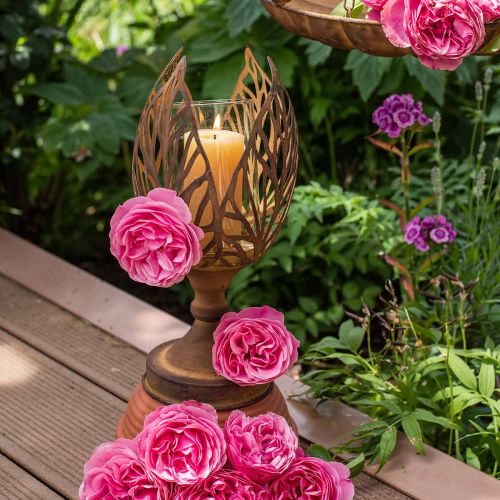 Floristik24 Lámpás rozsda megjelenés, teamécses tartó retro Ø13cm H30cm