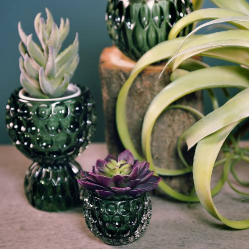 Floristik24 Üveglámpás sötétzöld Ø11,5cm H9cm 1db