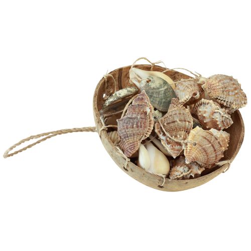 tételeket Szélcsengő tengeri dekoráció natúr kókuszdióval Ø12,5cm 48cm