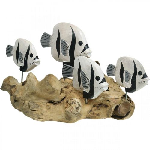 Floristik24 Dekoratív halak álló gyökérfa vitrin Tengeri dekoráció 38cm