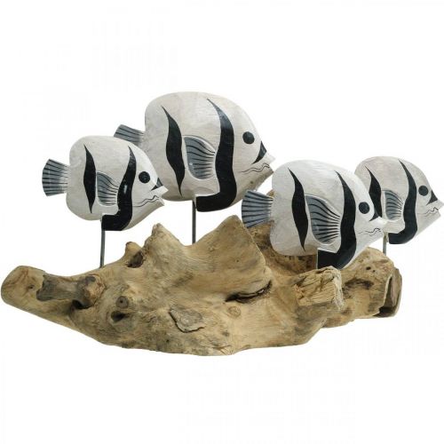 Floristik24 Dekoratív halak álló gyökérfa vitrin Tengeri dekoráció 38cm