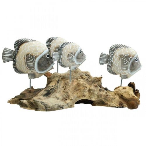 Floristik24 Díszhal gyökérfán Tengeri dekorációs figurák Barna 38cm