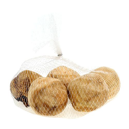 Floristik24 Gyökérgombóc fenyő Ø7cm natúr 5 db