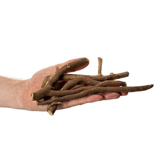Dekoratív faágak és alanytörzsek, természetesen szárítva, 18 cm, 500 g | Floristik24.hu