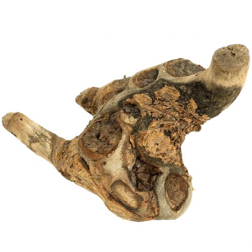 Floristik24 Gyökérdarabok natúr 500g