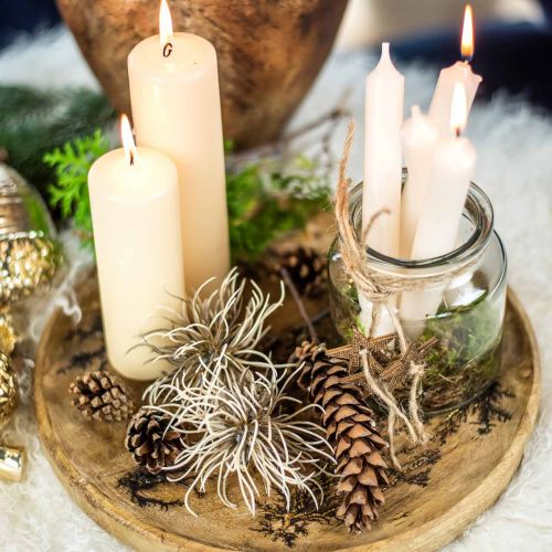 tételeket Xanthium művirág őszi dekoráció 6 virágos krém, barna 80cm 3db