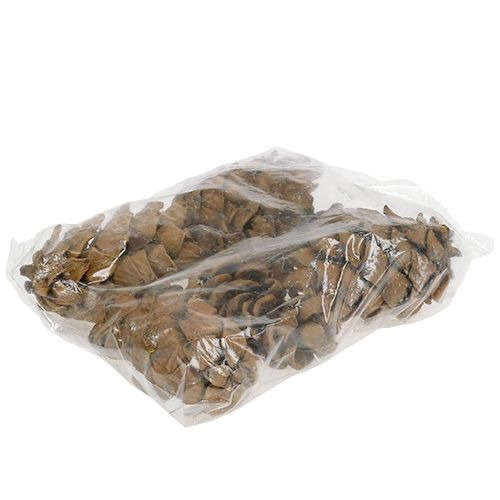 Floristik24 Kúpok természet 9cm - 10cm 6 db