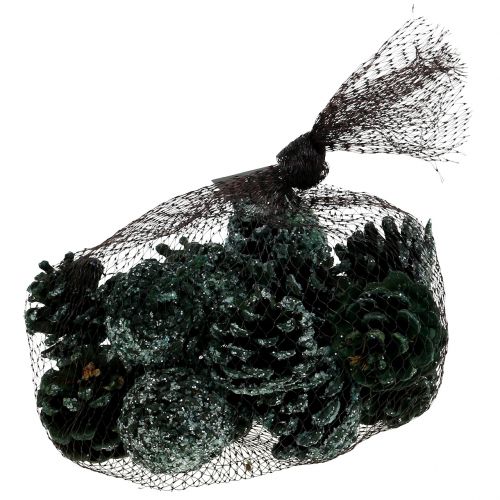 Floristik24 Fenyőtoboz zöld jeges 200g