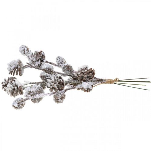 Floristik24 Karácsonyi ágak kúp ág havas 30cm 5 db kötegben