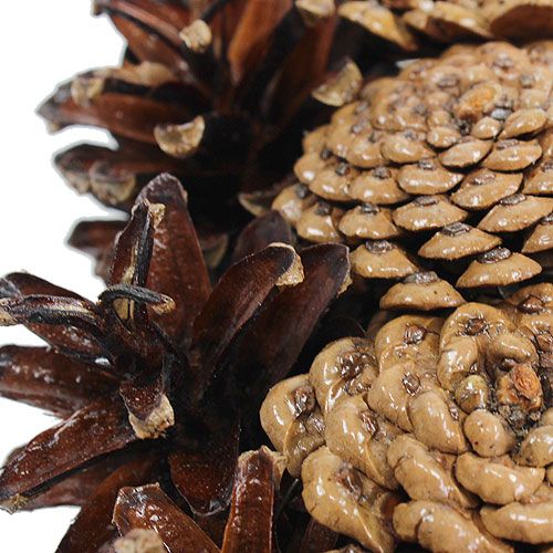 tételeket Festett kúpos szív Ø25cm