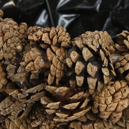 tételeket Tobozkosár növénykosár fenyőtobozok natúr Ø33cm M17cm