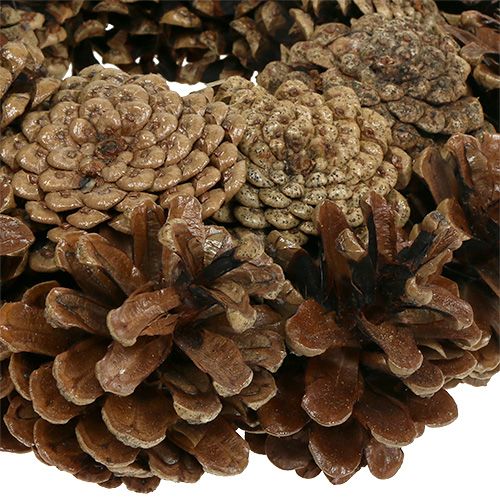 tételeket Lapos kúpos koszorú, megkötve Ø23cm