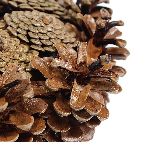 tételeket Festett kúpos koszorú Ø25cm