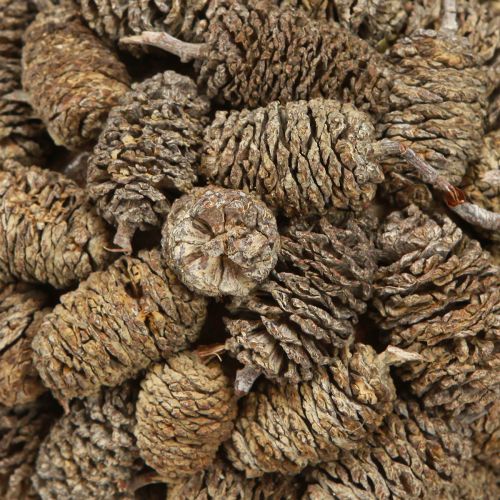 tételeket Égertobozok felakasztására szolgáló gömb alakú fehérre meszelt 12 cm