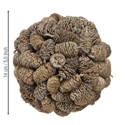 tételeket Égertobozok felakasztására szolgáló gömb alakú fehérre meszelt 12 cm