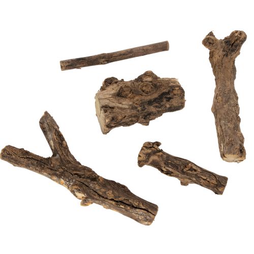 tételeket Elbűvölő, dekoratív fa gyökerek otthonába