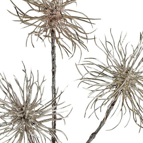 tételeket Boszorkánymogyoró ág pezsgő 45cm 3 db