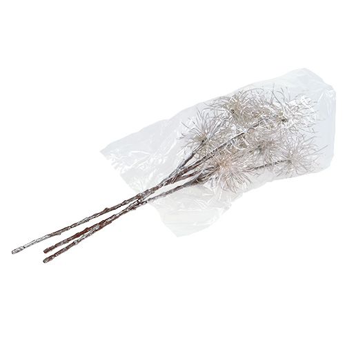 tételeket Boszorkánymogyoró ág pezsgő 45cm 3 db