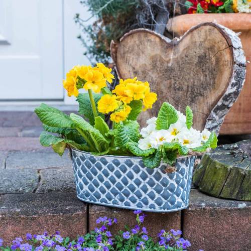 Floristik24 Cink tál gyémánt kötél fogantyúkkal ovális 32cm H15cm