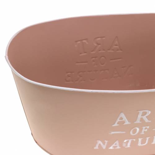 tételeket Virágtartó ovális horganyzott régi rózsaszín virágtartó 27×18cm H12,5cm