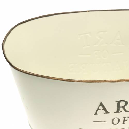 Floristik24 Virágtartó ovális cinkkrém 27×18cm H12,5cm