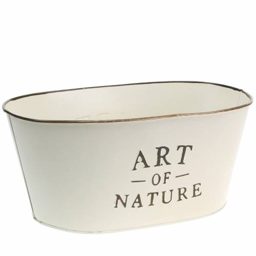 Floristik24 Virágtartó ovális cinkkrém 27×18cm H12,5cm