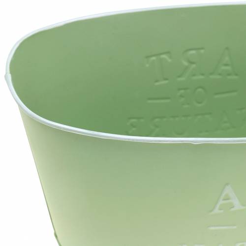 tételeket Virágtál ovális cink mentazöld 27×18cm H12,5cm