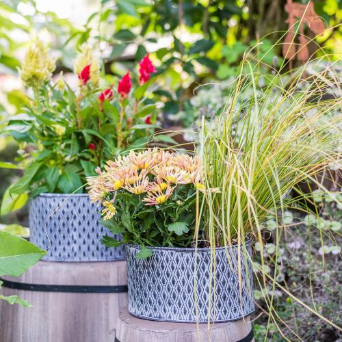 Floristik24 Cink edény gyémántmintás ovális 23cm x 15cm / 21,5cm x 14cm 2db