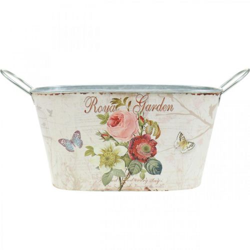Floristik24 Cink edény, fém edény fogantyúval, ültetvényes bazsarózsa H21cm H11cm