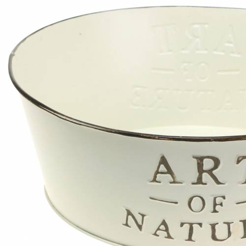 Floristik24 Virágtál kerek cinkkrém Ø25cm H9cm