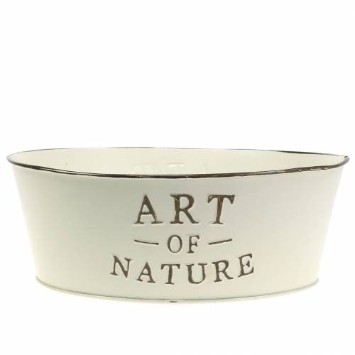 Floristik24 Virágtál kerek cinkkrém Ø25cm H9cm