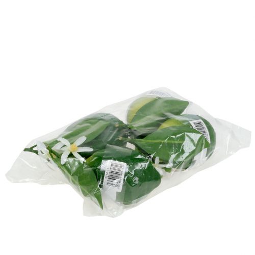 Floristik24 Citrom virággal 9,5cm zöld 4db