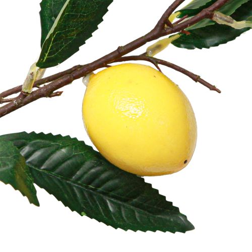 tételeket Citromág dekoráció, műnövények, 91 cm, 2 db-os szett