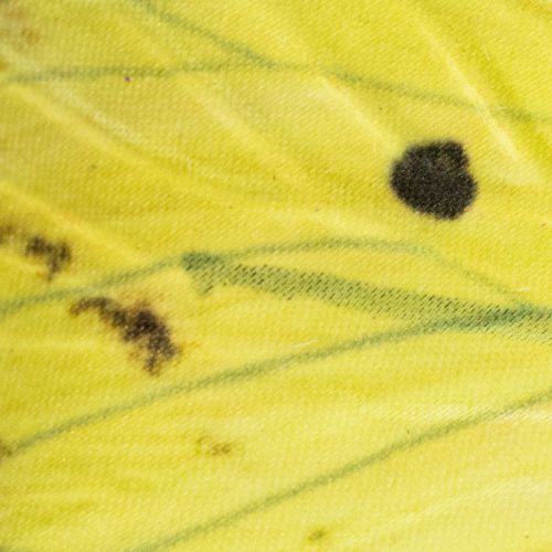 tételeket Pillangóág, művészi tavaszi dekoráció beltéri használatra, 75cm