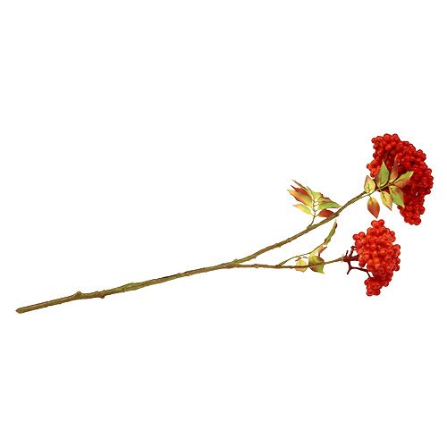 Floristik24 Bogyós ág narancssárga 53cm