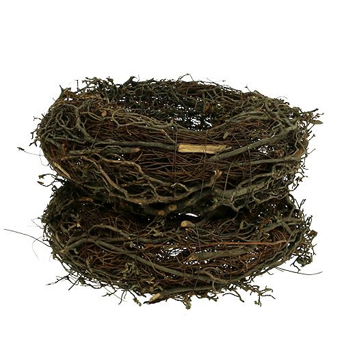 Floristik24 Ág koszorú Ø25cm 2db. Természet