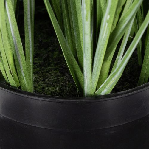 tételeket Dekoratív zöld növényzet finom virágokkal stílusos szobadizájnhoz 67 cm