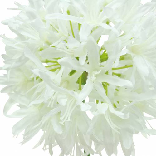 tételeket Díszhagyma Allium műfehér Ø12cm H62cm