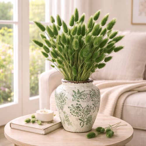 tételeket Szárított Lagurus (nyúlfarkfű) 65-70cm 100g