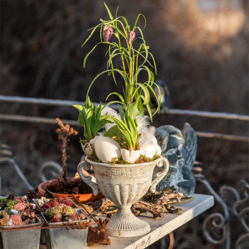 Floristik24 Antik trófea fogantyúkkal fém díszítéssel vintage szürke fehér H18cm