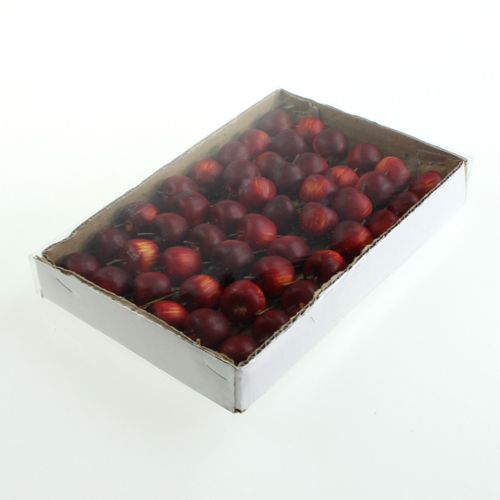 Floristik24 Mini alma dróton 2cm 48 db