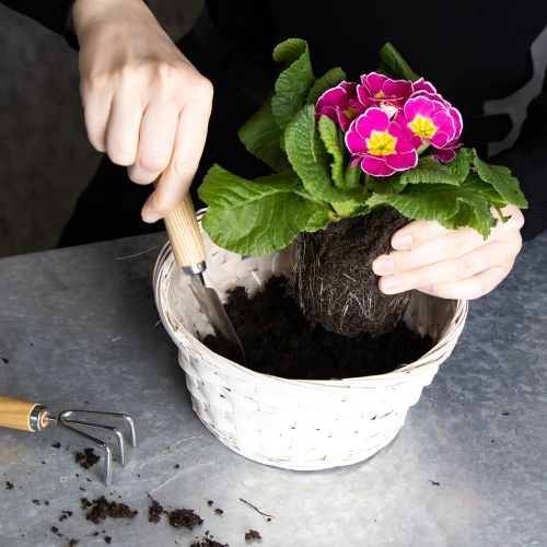 tételeket Fonott kosár dekoráció sokoldalú lakberendezéshez, 20 cm, 8 darab